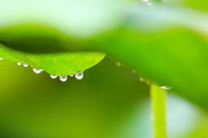 雨，可以用心听