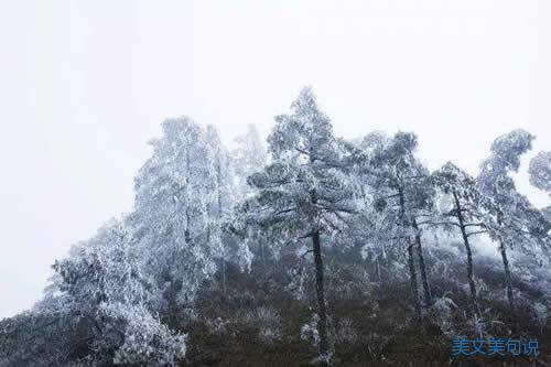 雪花漫天飞舞